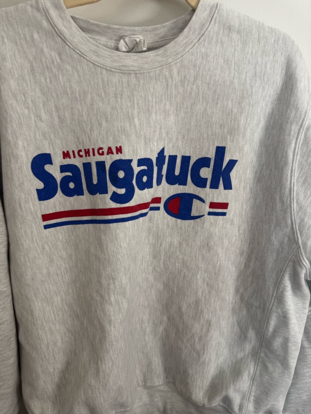Champion Light Gray Saugatuck Michigan Crewneck with Blue & Red Graphic - Picture 2 of 5